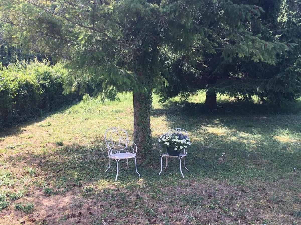 Apartament Atelier Des Reves Vichy Zewnętrze zdjęcie